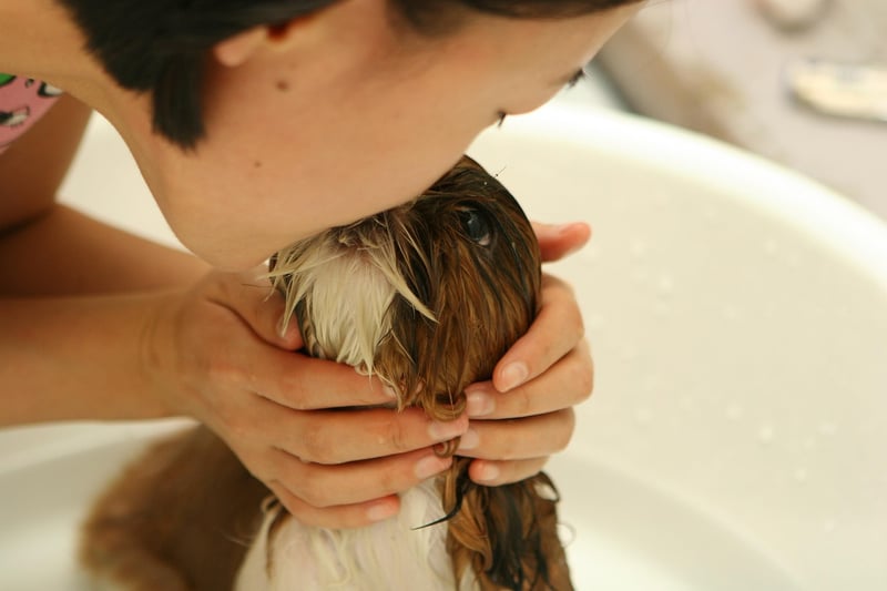 Personal grooming